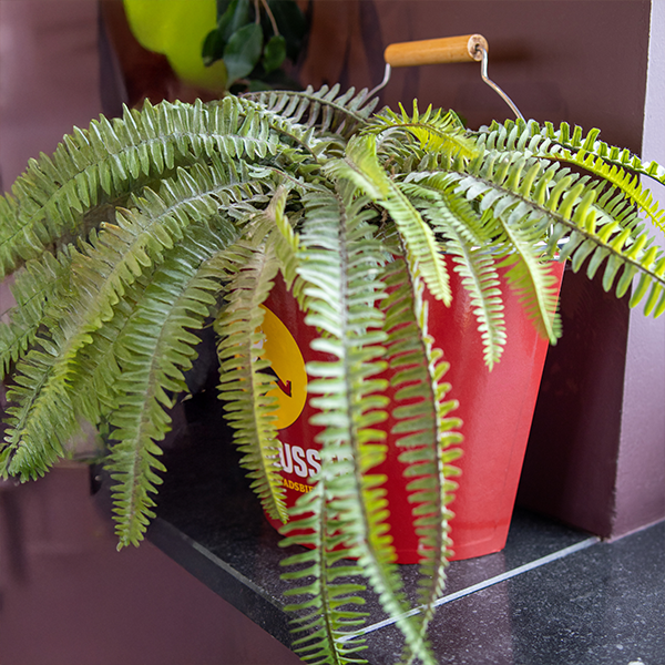 Panneau mural Demi-seau Maneblusser